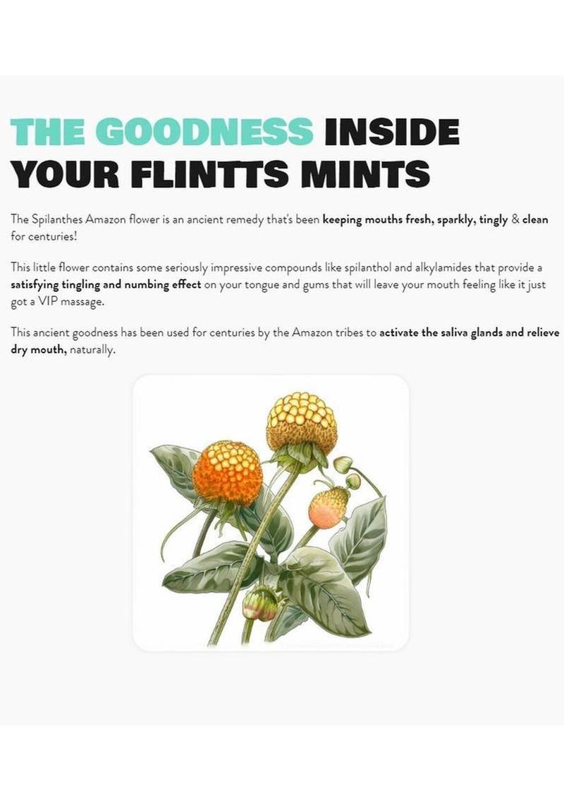 Flintts Mints Mouth Watering Oral Delights - Strawberry Magic